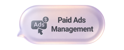 Paid Ads Management